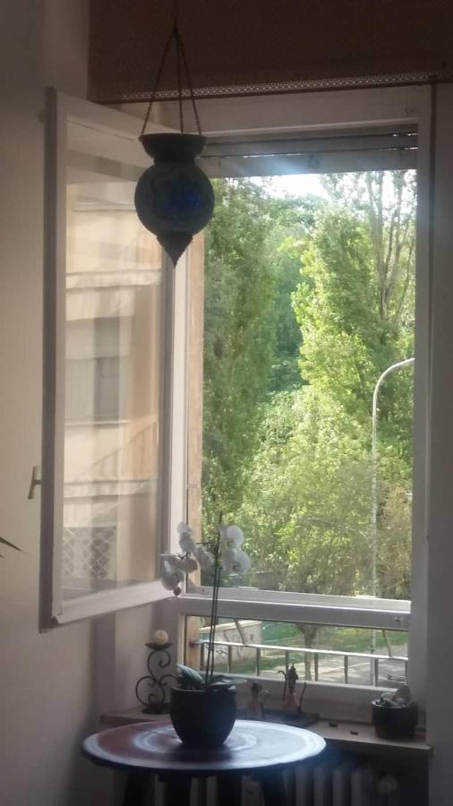토리노 Vista Sul Fiume 아파트 외부 사진